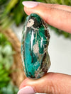 Blue Opalized Petrified Wood Palmstone - #2