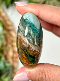 Blue Opalized Petrified Wood Palmstone - #3