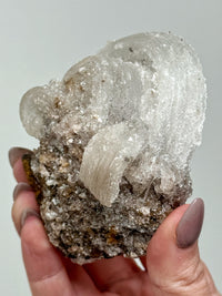 Selenite Ram's Horn - #1