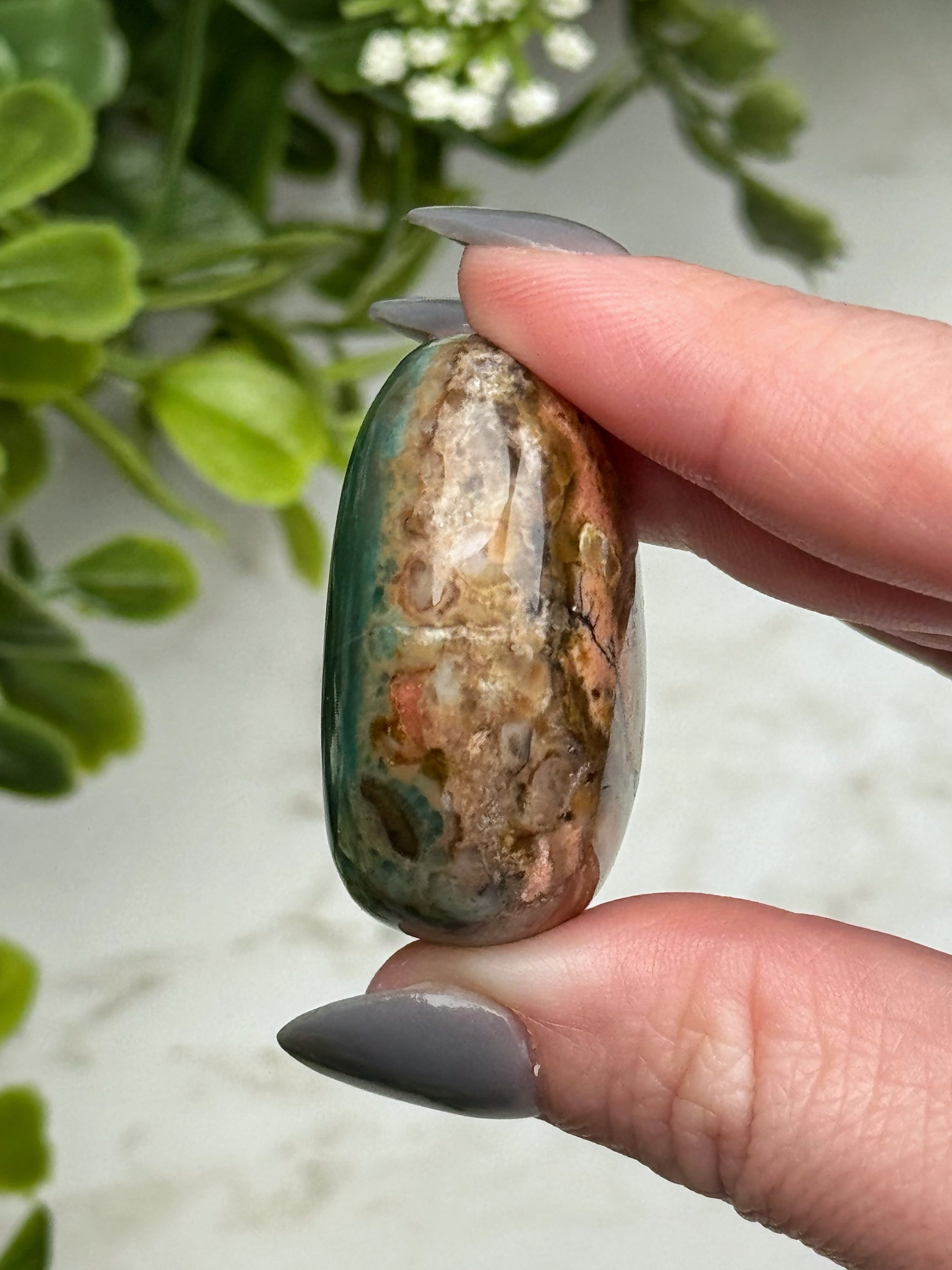 Blue Opalized Petrified Wood Palmstone - #13