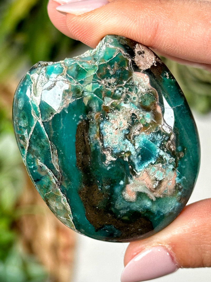 Blue Opalized Petrified Wood Palmstone - #2