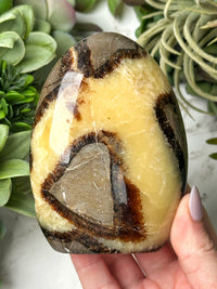 Septarian Freeform - #16