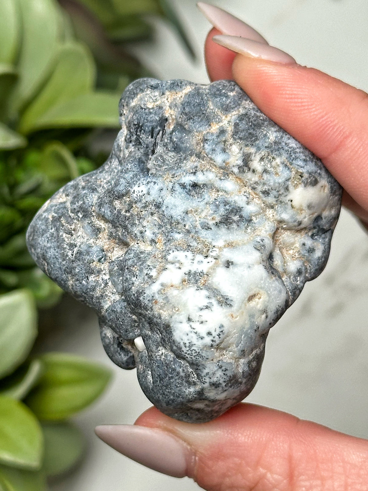 Dendritic Opal Freeform - #11