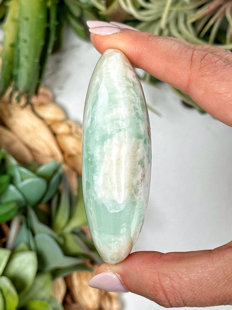 Caribbean Calcite Palmstone - #1