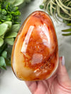 Carnelian Freeform - #13