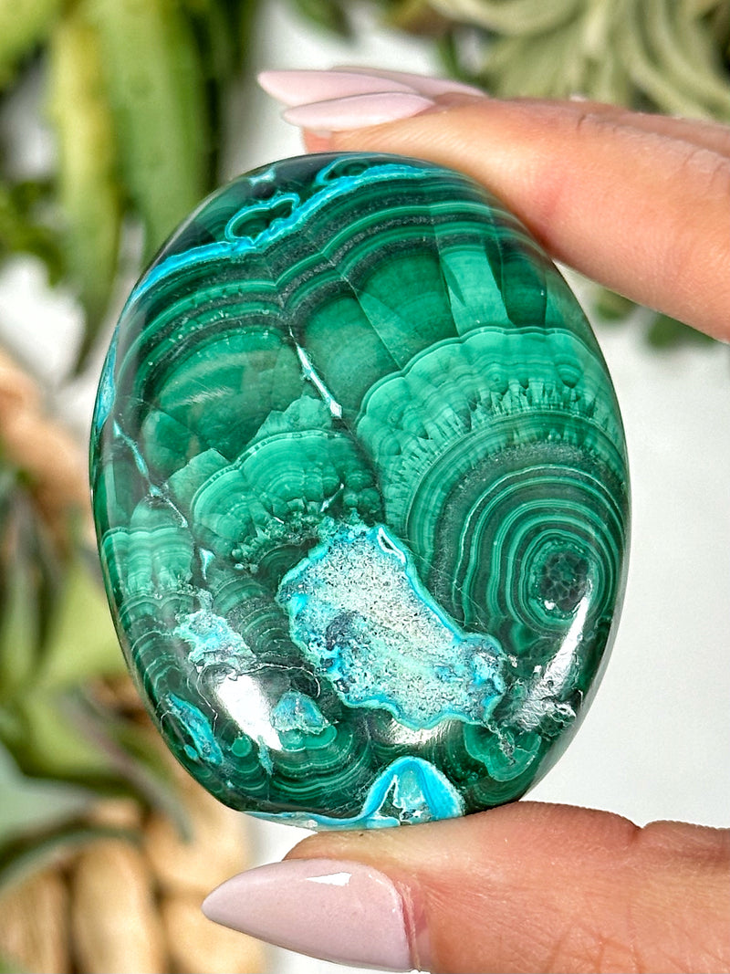 Chrysocolla Malachite Palmstone - #1