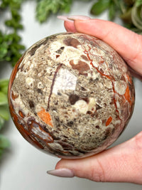 Money Agate Sphere - #6