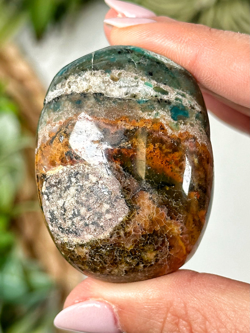 Blue Opalized Petrified Wood Palmstone - #3