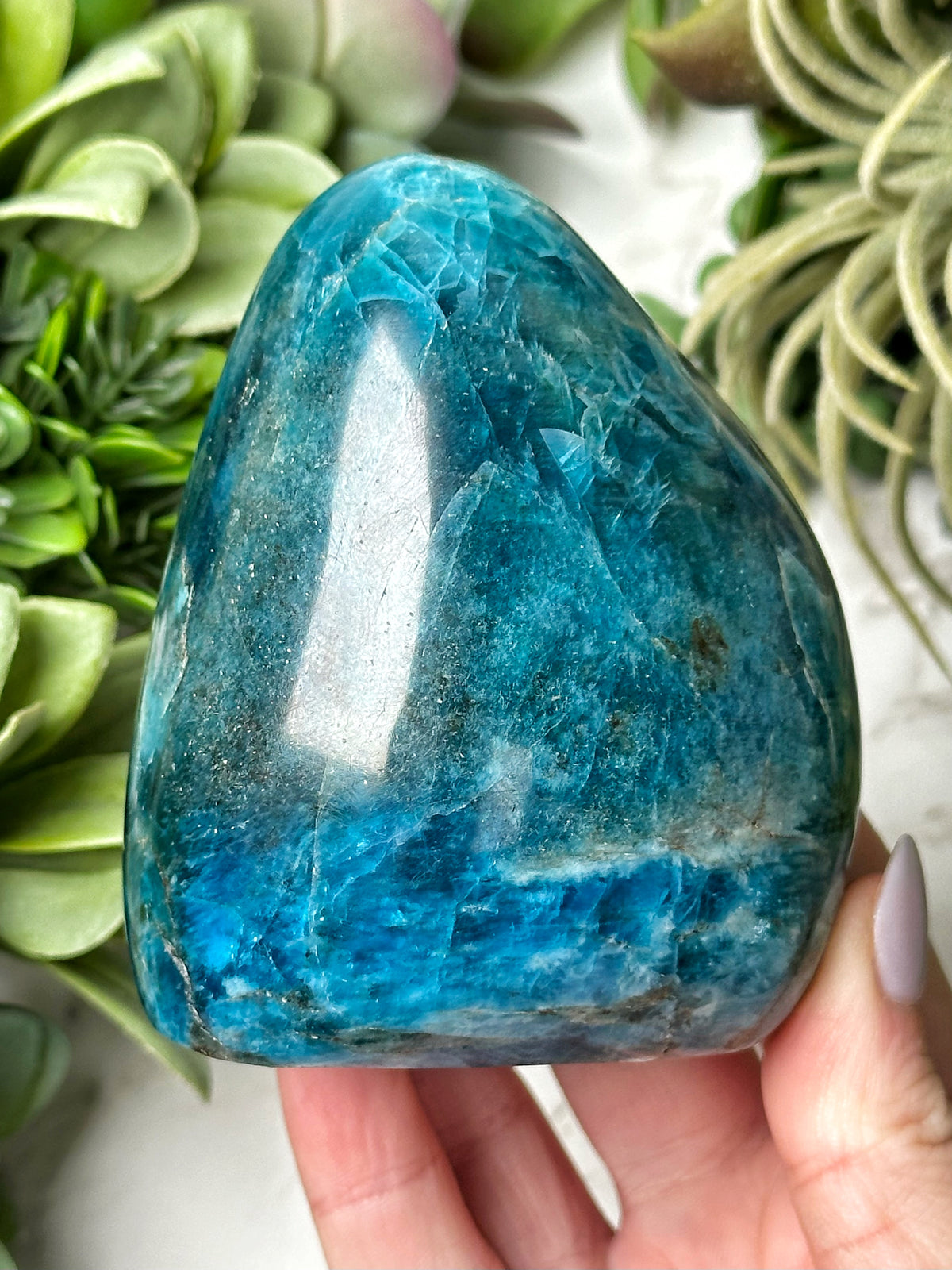 Blue Apatite Freeform - #11