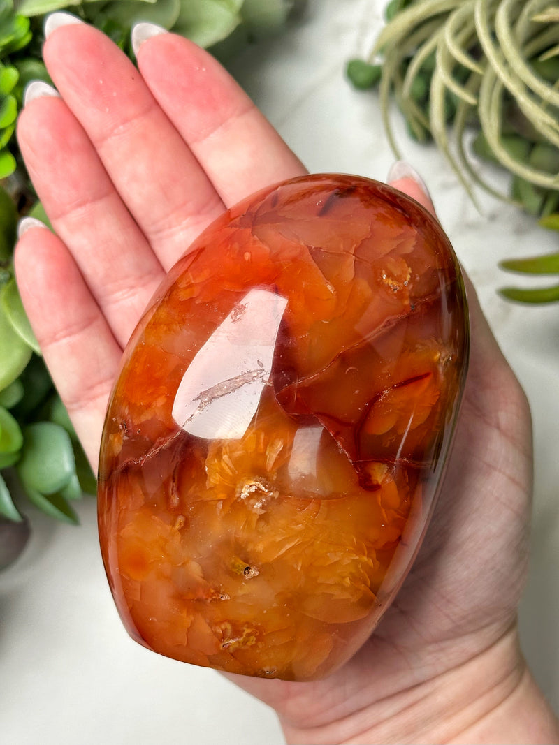 Carnelian Freeform - #16