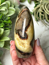 Septarian Freeform - #16