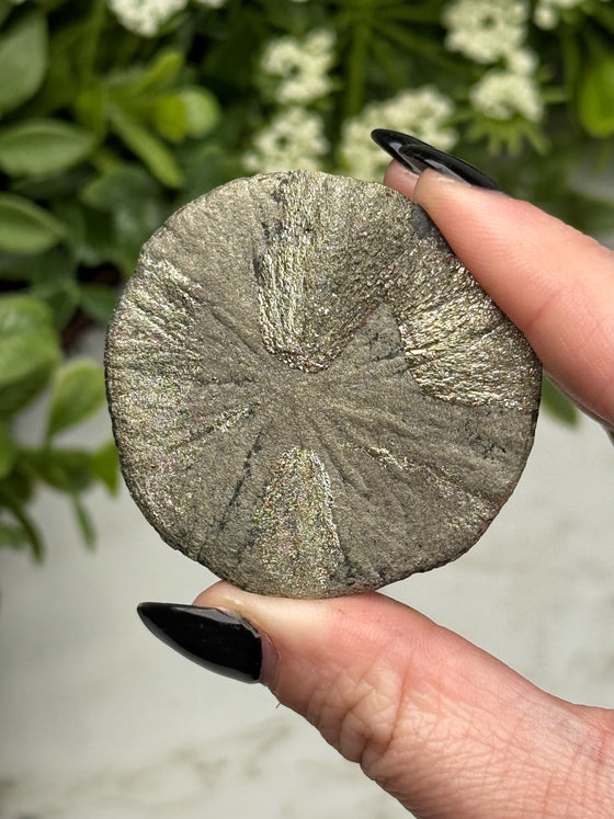 Pyrite Sun - #14