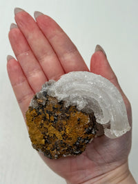 Selenite Ram's Horn - #1