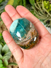 Blue Opalized Petrified Wood Palmstone - #3