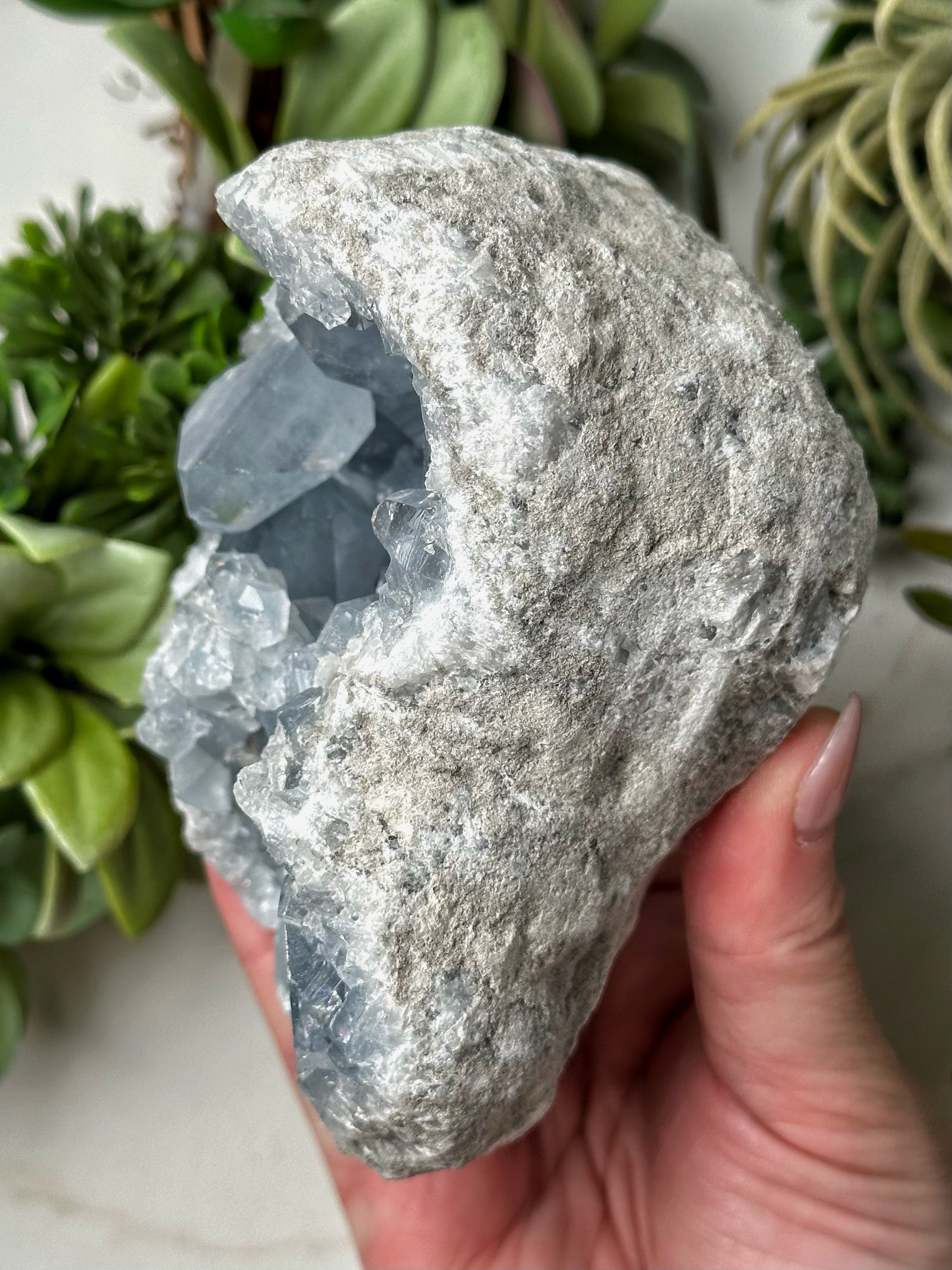 Raw Celestite - #6