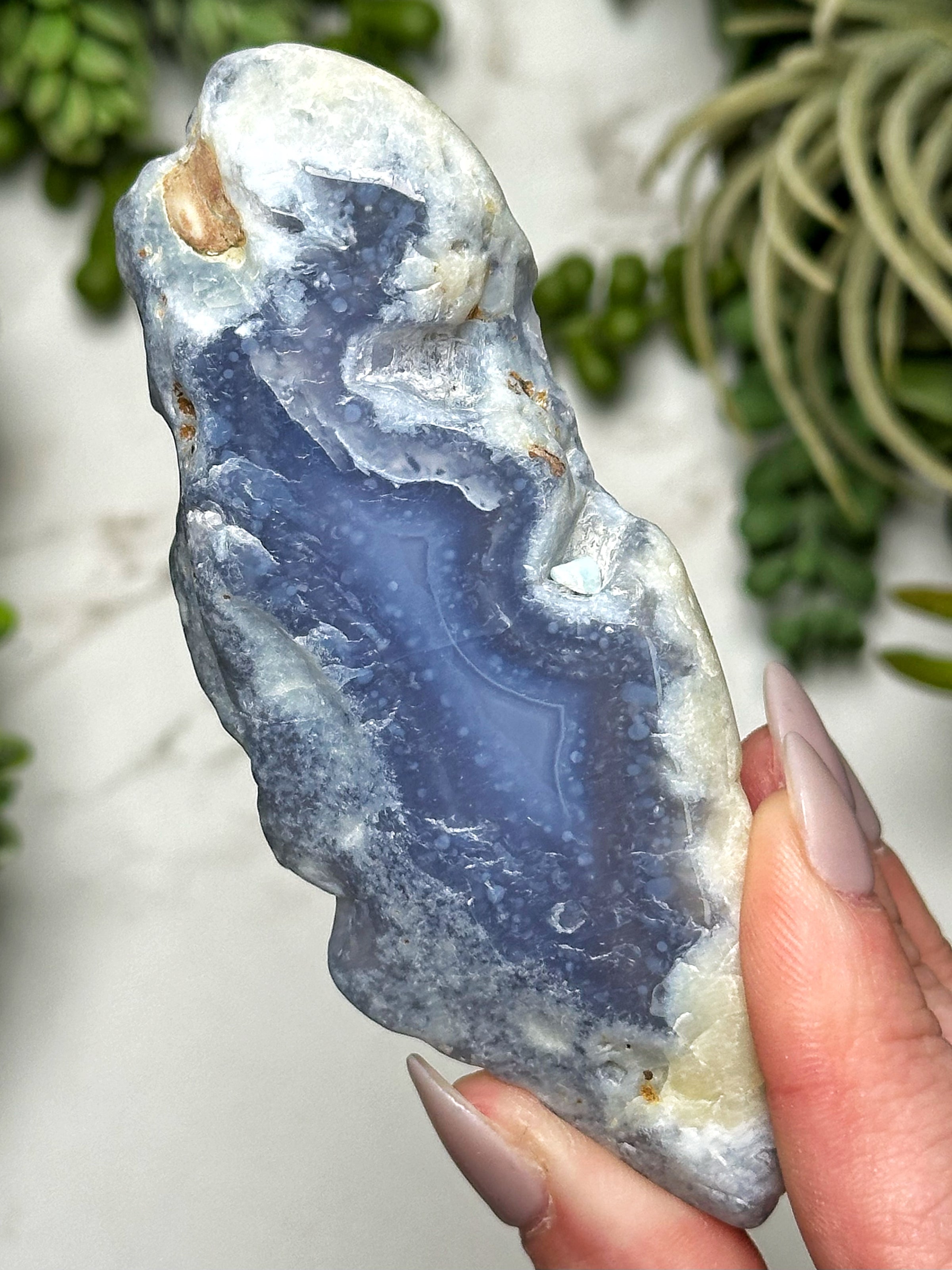 Blue Lace Agate Slab - #6