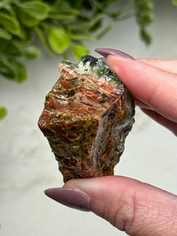 Raw Blue Opalized Petrified Wood - #14