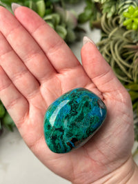 Chrysocolla Palmstone - #14