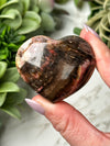 Petrified Wood Heart - #17