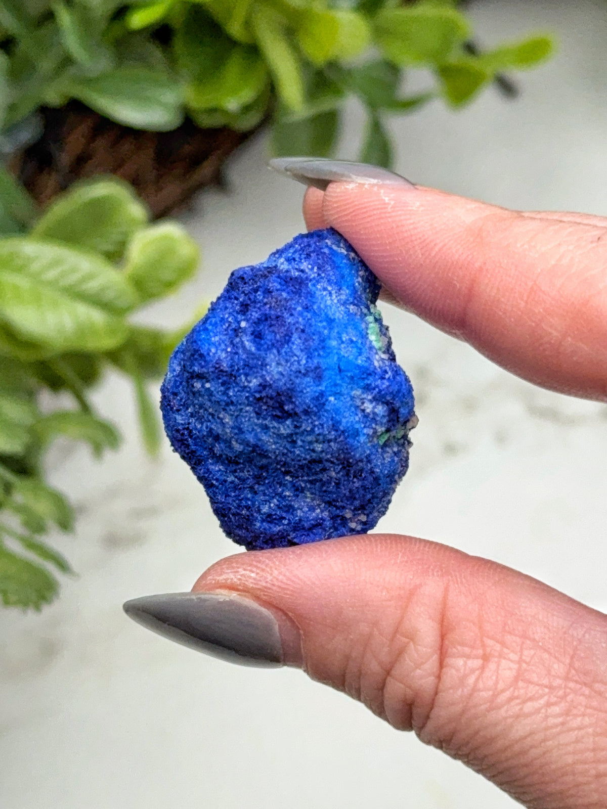 Blueberry Azurite Geode - #9