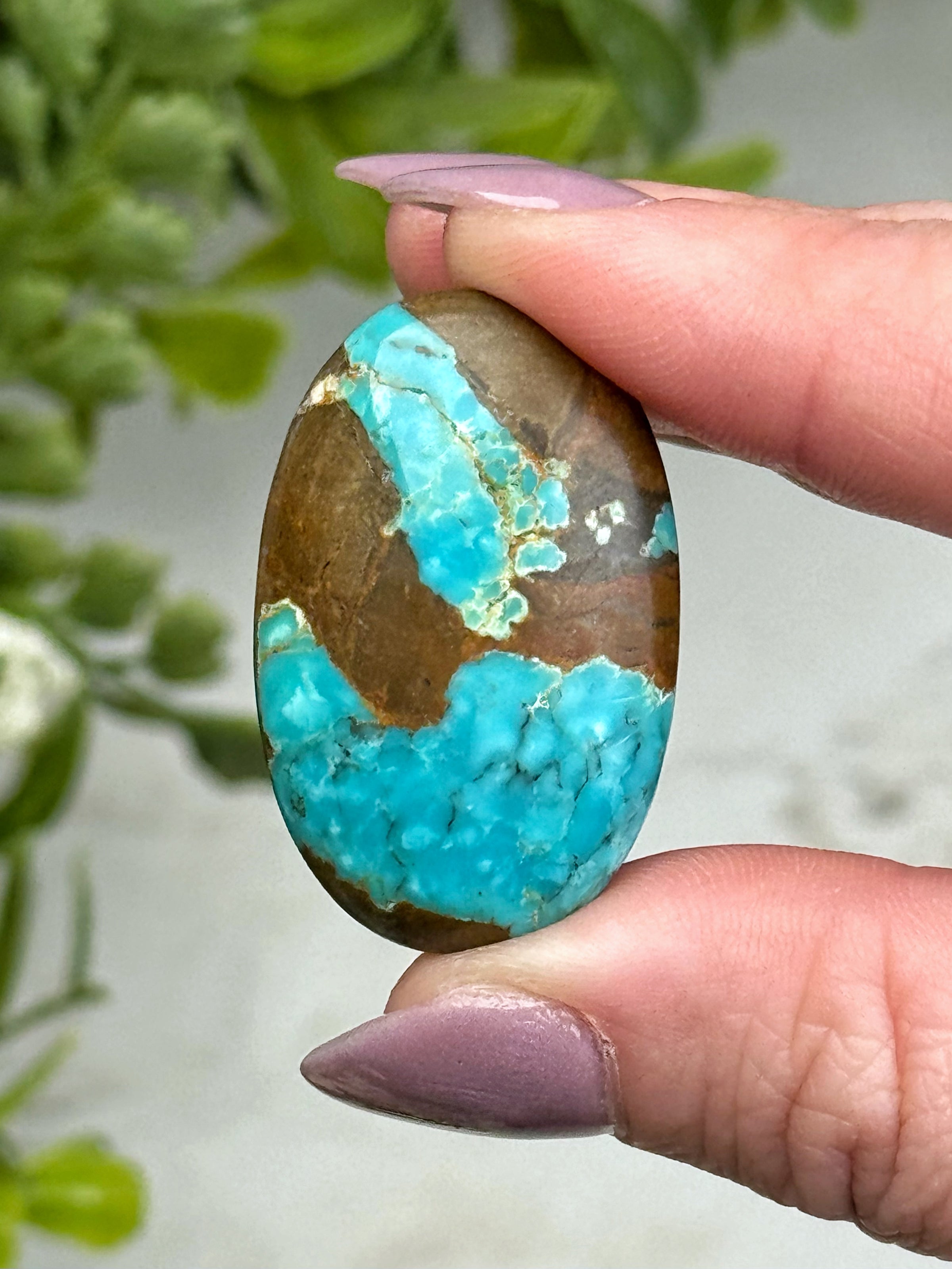 Turquoise Palmstone - #13