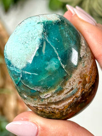 Blue Opalized Petrified Wood Palmstone - #3