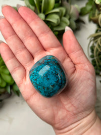 Chrysocolla Palmstone - #11