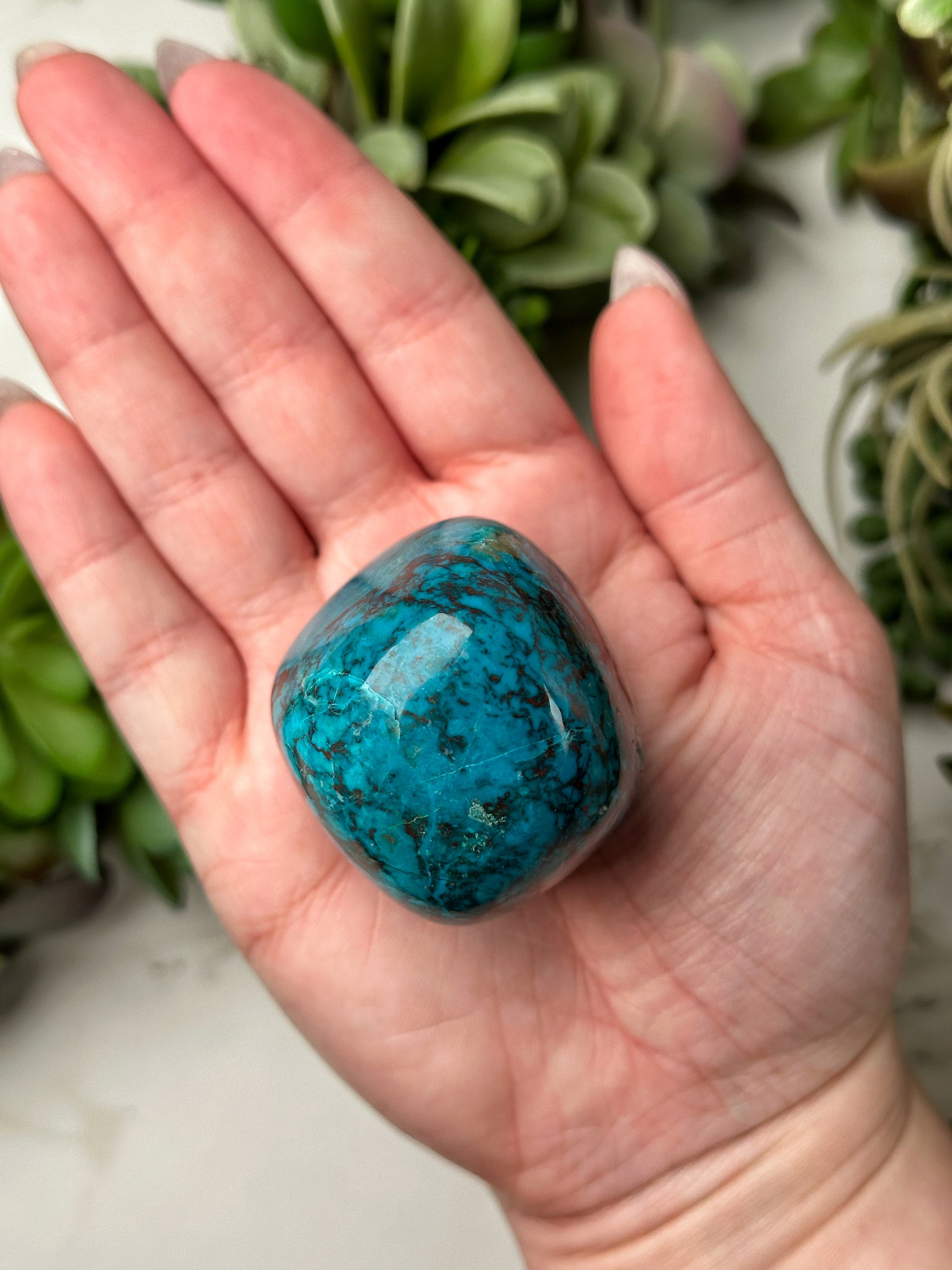 Chrysocolla Palmstone - #11