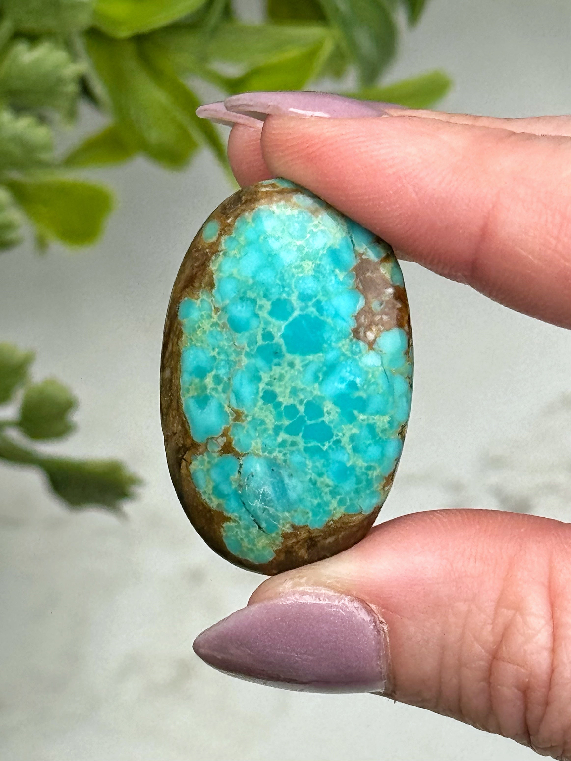 Turquoise Palmstone - #14
