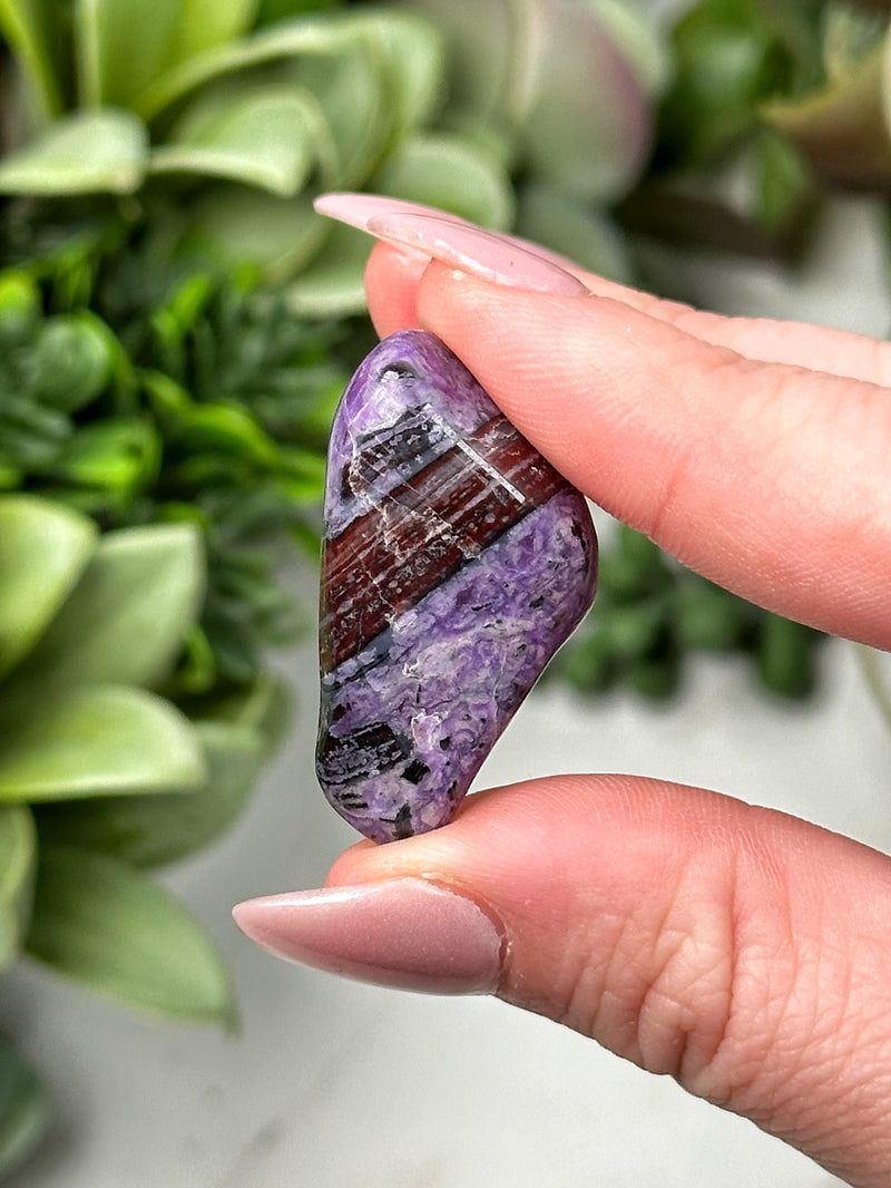 Sugilite Mini Freeform - #9