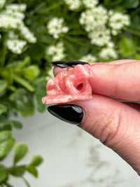 Rhodochrosite Frog - #5