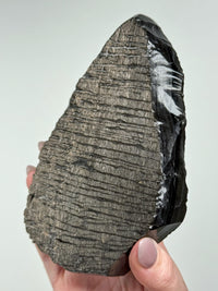 Dragon's Skin Obsidian - #1
