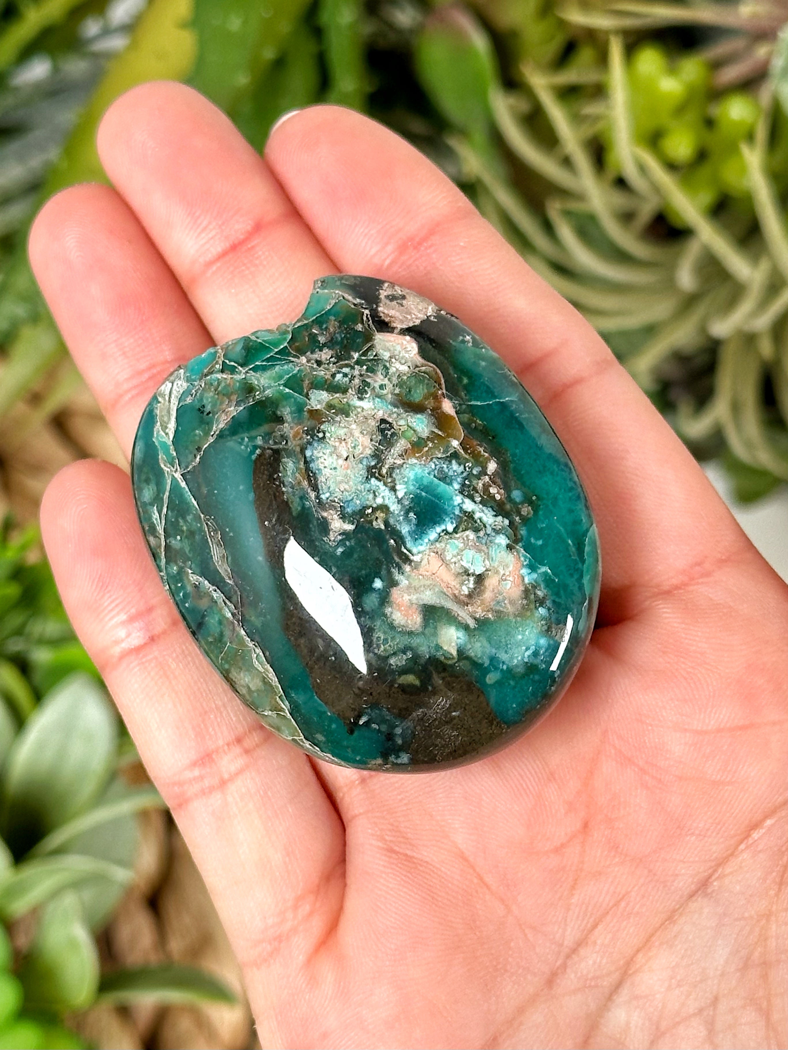 Blue opalized petrified wood good