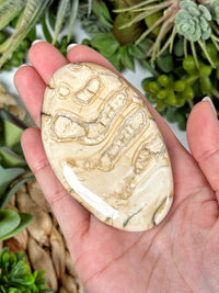 Woolly Mammoth Molar Palmstone - #1