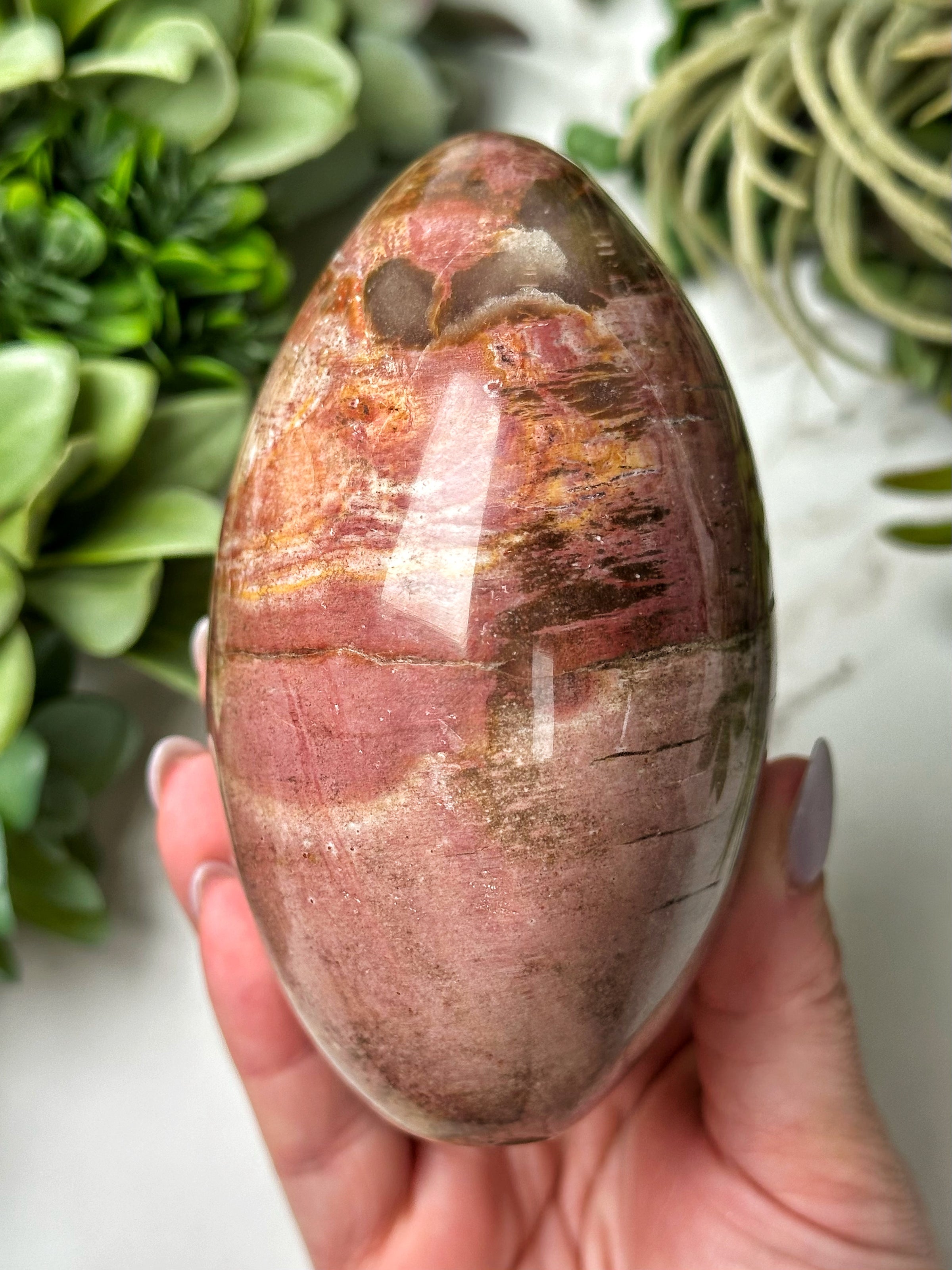 Petrified Wood Freeform - #11