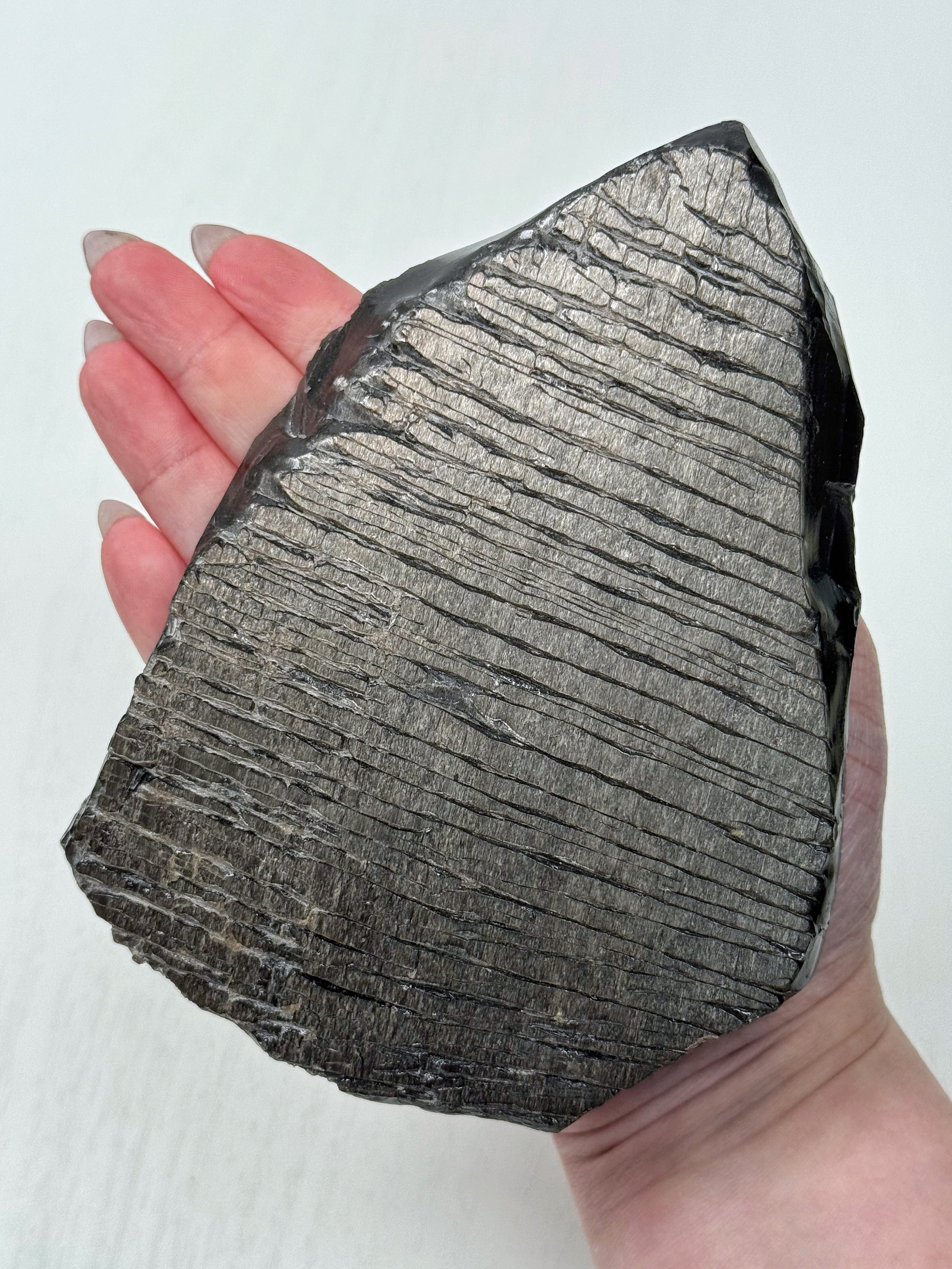 Dragon's Skin Obsidian - #1