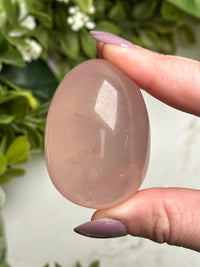 Star Rose Quartz Egg - #2
