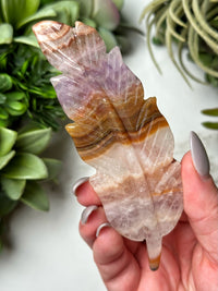 Crazy Lace Agate Amethyst Feather - #11
