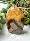 Septarian Freeform - #18