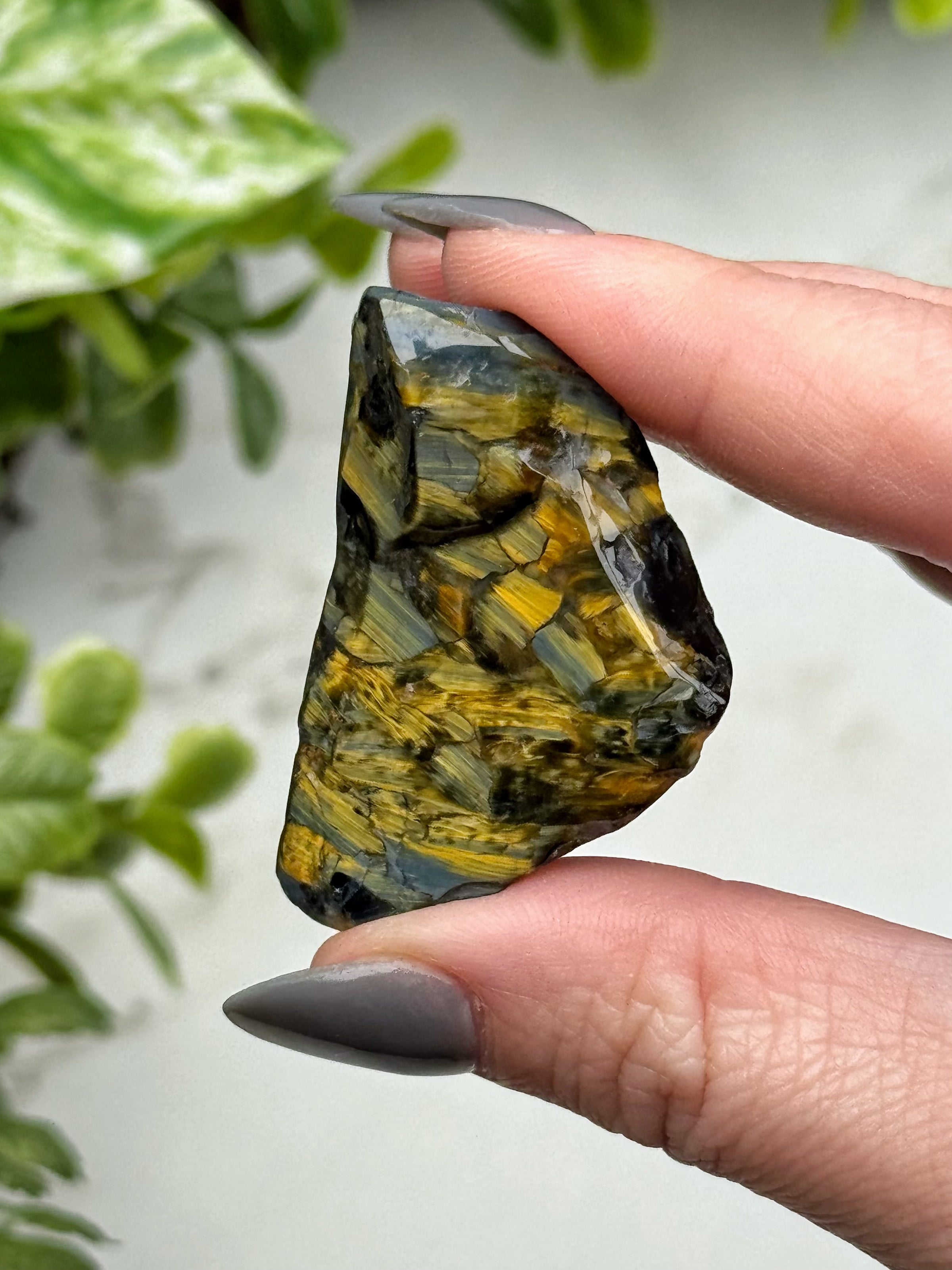 Pietersite Freeform - #17