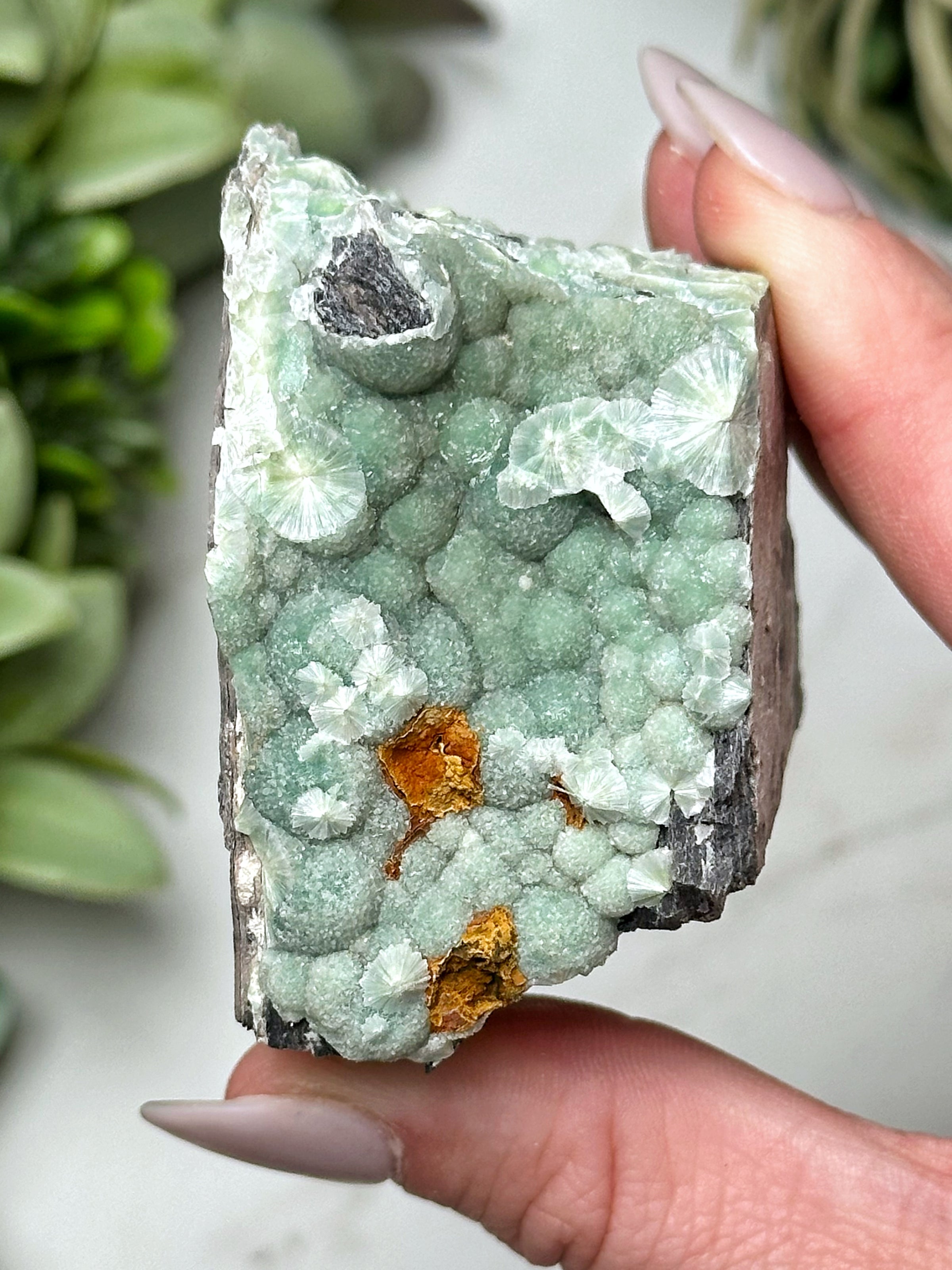 Wavellite - #9