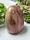 Petrified Wood Freeform - #12