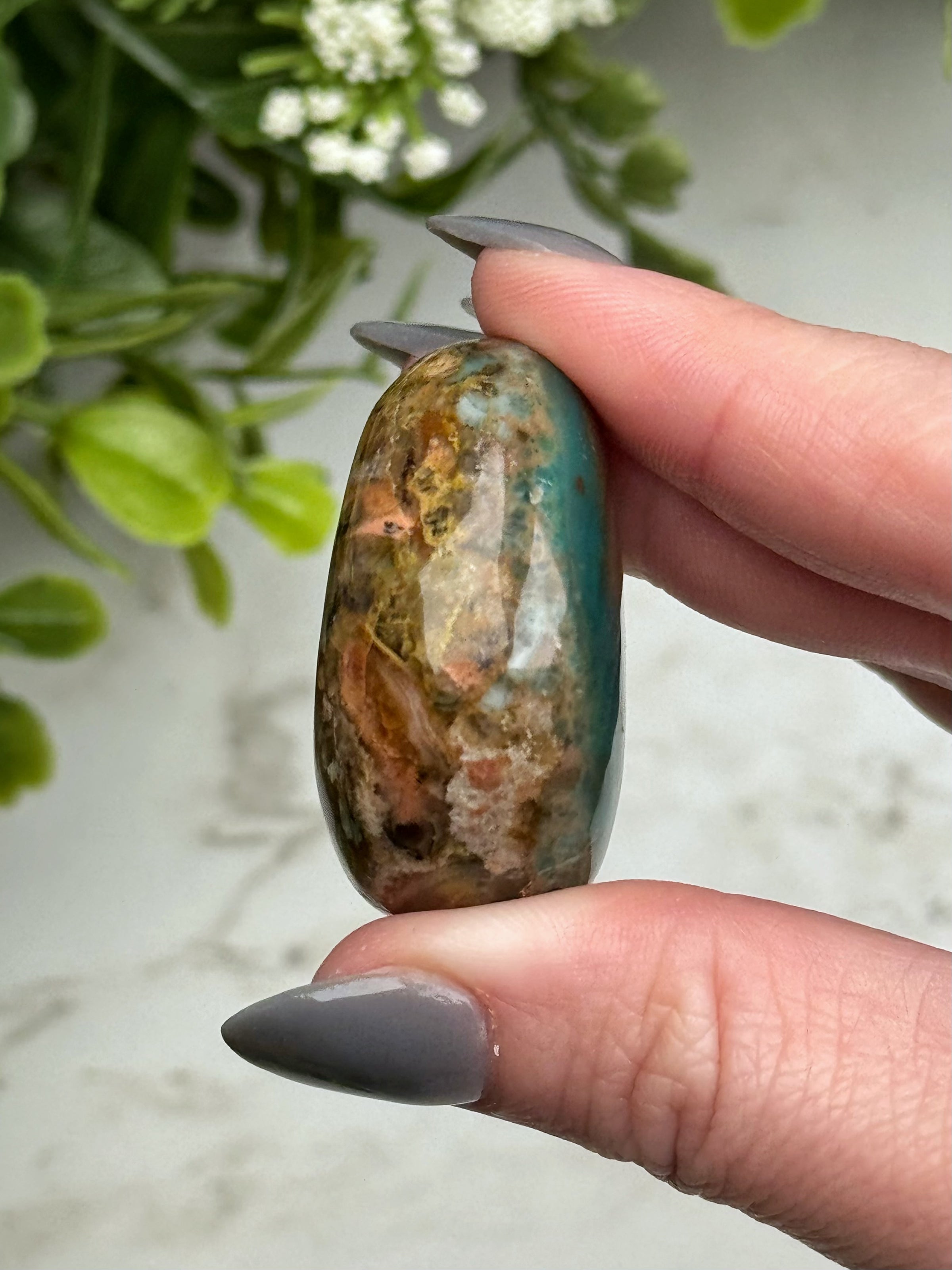 Blue Opalized Petrified Wood Palmstone - #13