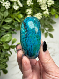 Chrysocolla Palmstone - #19