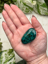 Dioptase Palmstone - #9