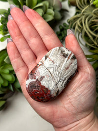 Crazy Lace Agate Palmstone - #14
