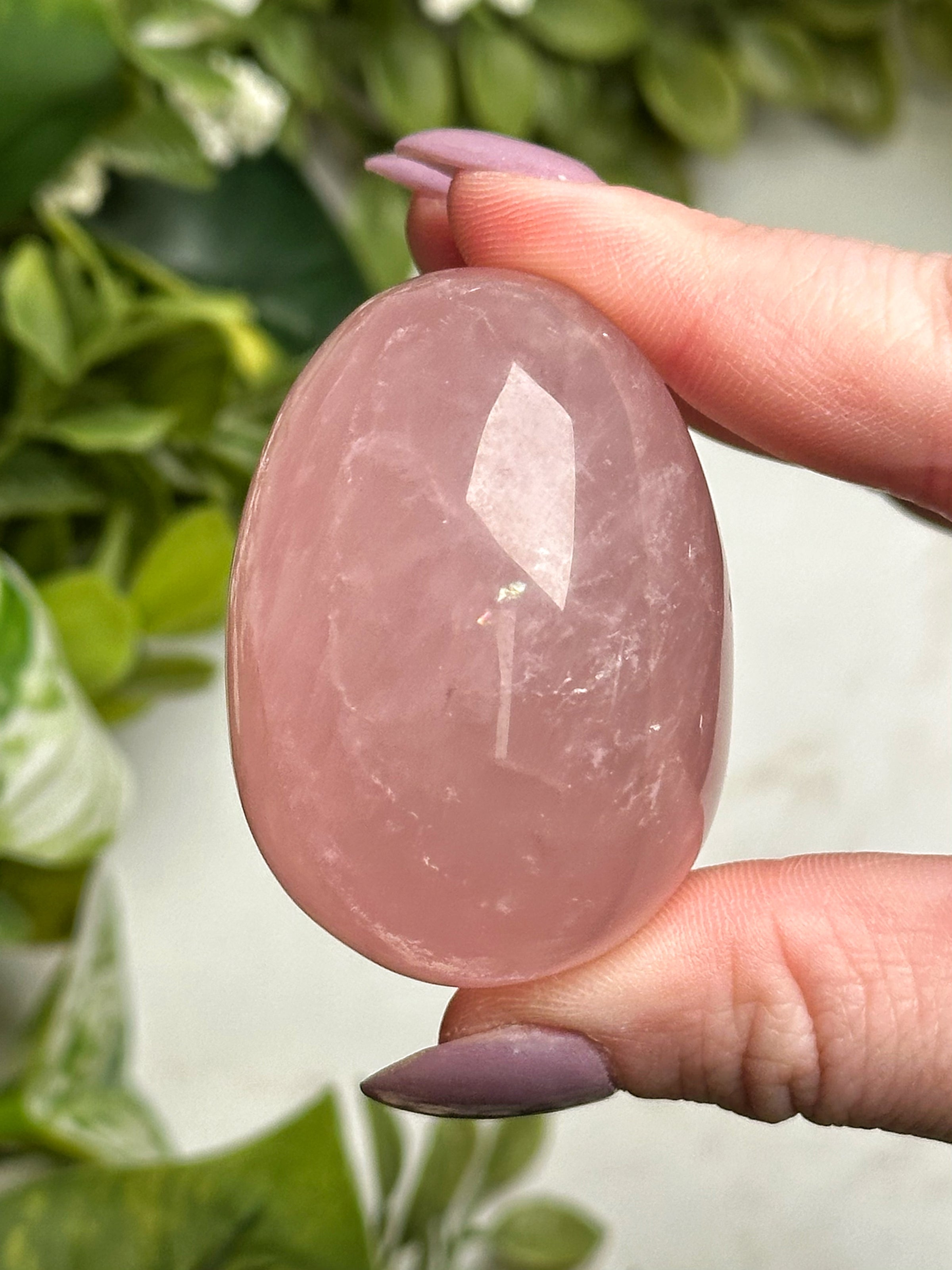 Star Rose Quartz Egg - #4
