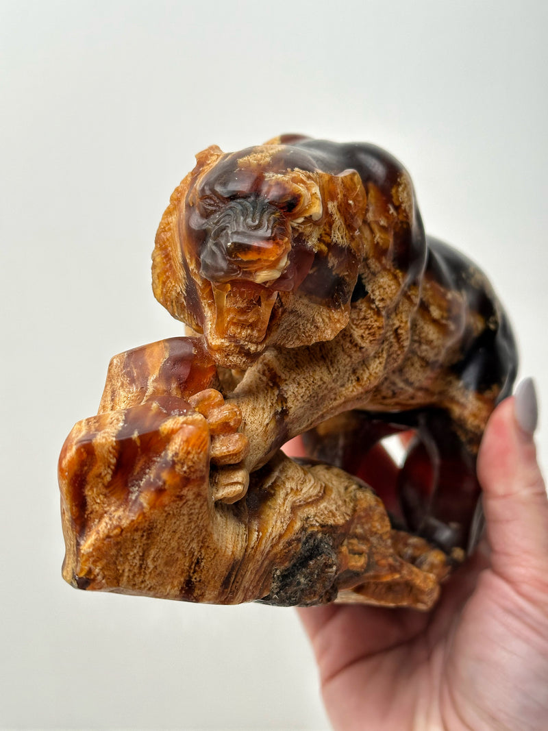 High Quality Amber Lion -#1