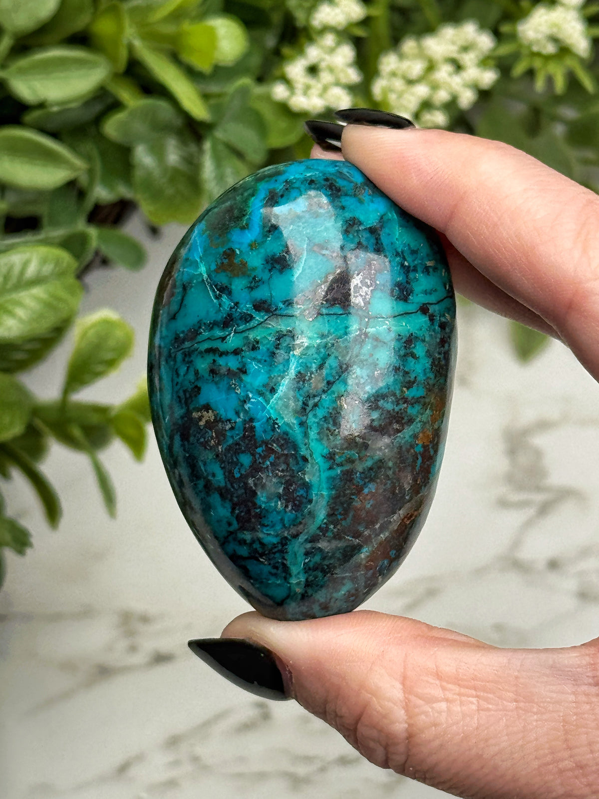 Chrysocolla Freeform - #24