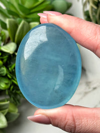 Aquamarine Palmstone - #4